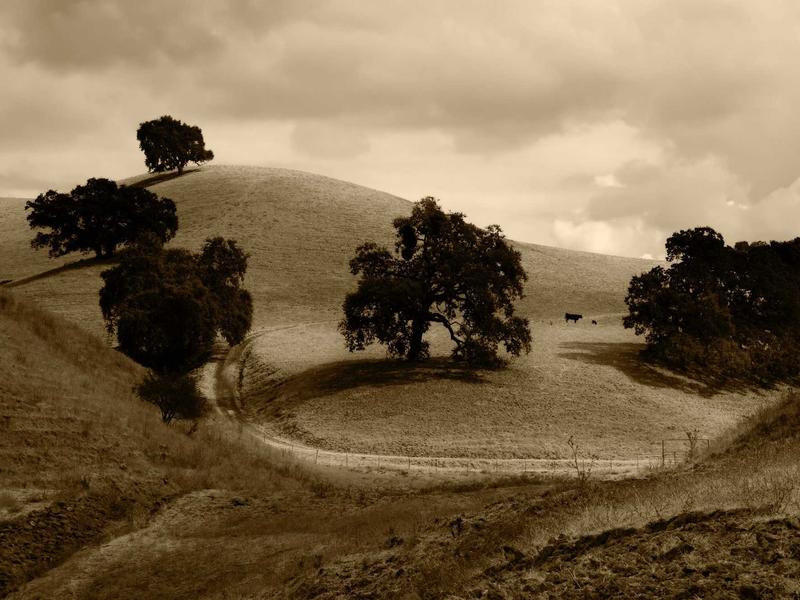 sudoku mouse controls screenshot 5