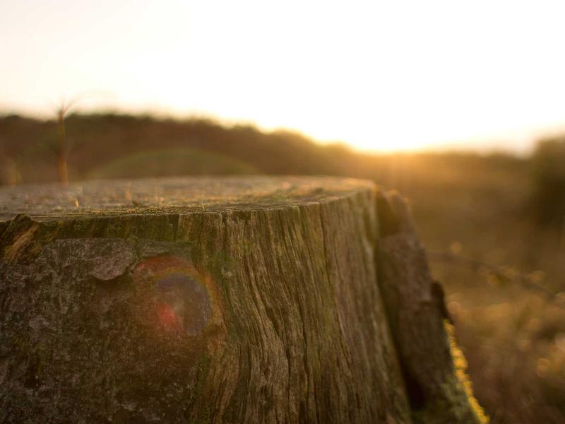 sudoku mouse controls